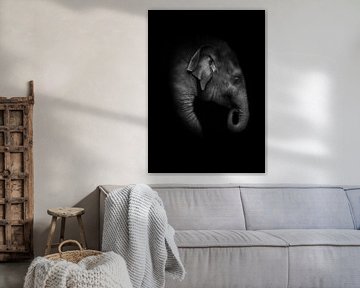 Baby elephant by Anna Stelloo