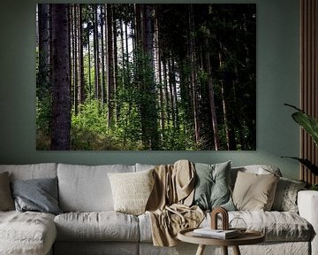 De kracht van de bomen van Paul Emons
