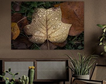 Herbstblatt mit Tropfen von Esther Wagensveld