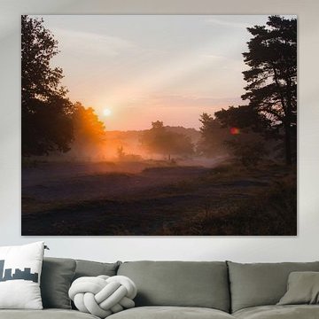 Before the heat hits