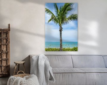 Vakantiegevoel - palmboom aan zee van Melanie Viola