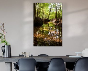 Veluws bos met prachtige spiegeling van Esther Wagensveld