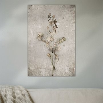 Trockene Blumen von Melanie Schat