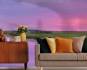 Polder Alblasserwaard