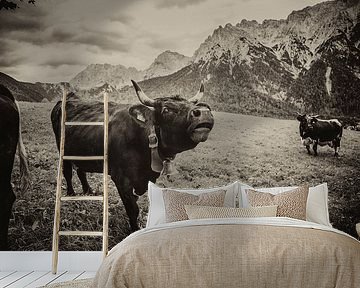 Cow in sepia by Fabian Roessler