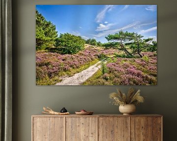 Schoorlse duinen kleuren paars van eric van der eijk