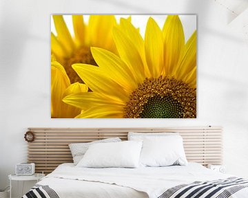 Sonnenblume von Wim van Berlo