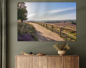 Vue de la Posbank, Veluwe sur Charlene van Koesveld