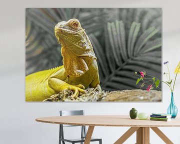 Iguana hagadis portret van Gabrielle van der Hel