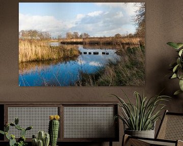 Natuurgebied De Schammer van Marianne Rouwendal