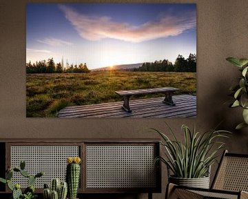 Vue sur les landes dans les montagnes du Harz sur Steffen Henze