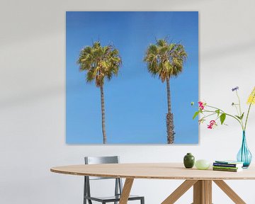 Lovely Palm Trees by Melanie Viola