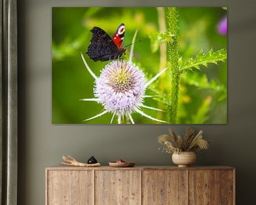 Vlinder op paarse bloem van JWB Fotografie
