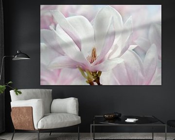 Magnolia van Violetta Honkisz