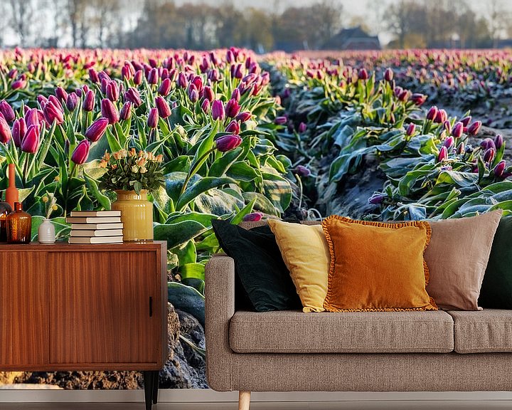 Impression: Champ de tulipes de Drenthe sur Anneke Hooijer