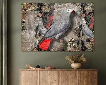 Grey Parrot sur Marja van den Hurk