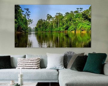 Kabalebo river in Suriname by René Holtslag