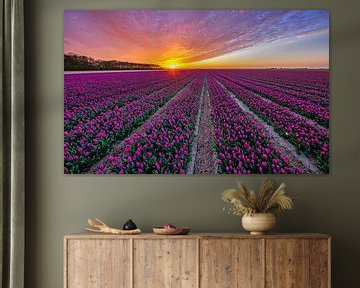 Tulpen op Texel. van Justin Sinner Pictures ( Fotograaf op Texel)