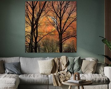 Moon Between the Trees 3. Impressionism