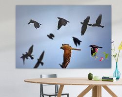 Aperçu de la chambre