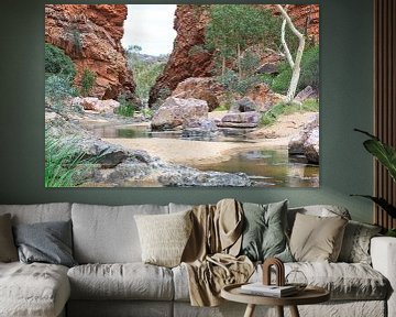 Een rode kloof, de Glen Helen Gorge, in de West MacDonnell Ranges in landscape van Henk van den Brink