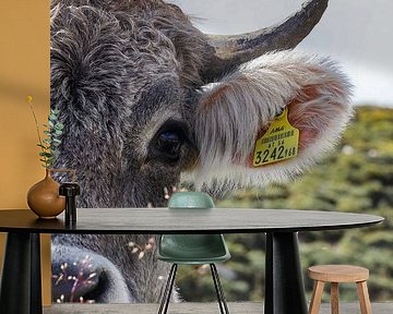 koe van Marieke Funke