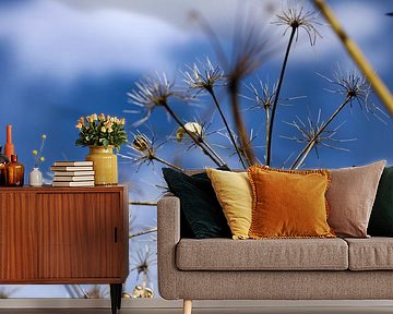 deflowered by Marieke Funke