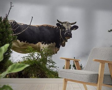 Sprinzen cow by Fabian Roessler