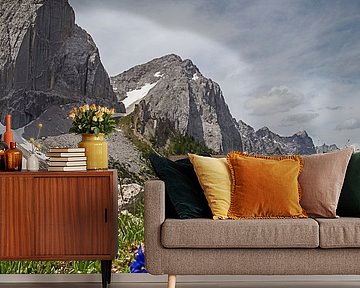 Enziane im Karwendel