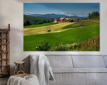 Norwegischer Bauernhof, Norwegen von Adelheid Smitt