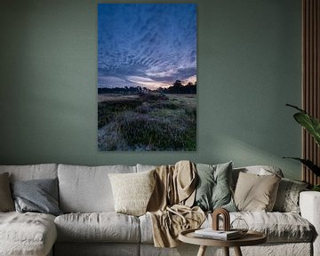 Zonsopkomst boven heiden veld Heidestein Utrechtse Heuvelrug. van Peter Haastrecht, van