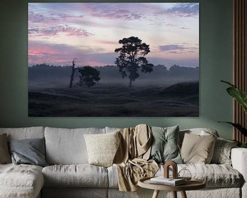 Zonsopkomst boven heiden veld Heidestein Utrechtse Heuvelrug. van Peter Haastrecht, van