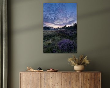 Zonsopkomst boven heiden veld Heidestein Utrechtse Heuvelrug. van Peter Haastrecht, van