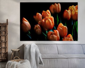 Mooie Oranje Tulpen Donkere Achtergrond van Imladris Images