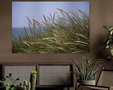 Marram grass by By Foto Joukje