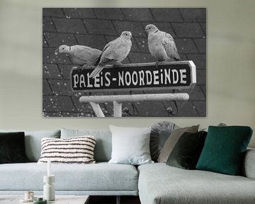 Tortelduiven samen met z'n drieën op een bord met "Paleis - Noordeinde" van Niels Ten Klooster