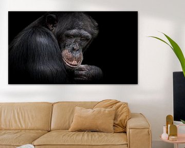 Chimpansee van Irma Heisterkamp