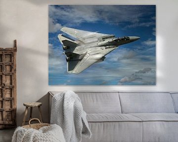 Grumman F-14 Tomcat, USA van Gert Hilbink