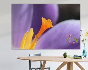 Paarse krokus abstracte bloem macro van Imladris Images