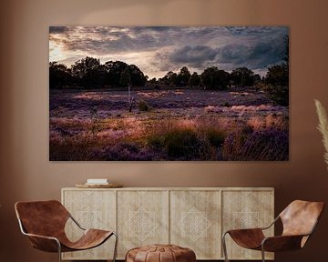 heather wide by iwan faber