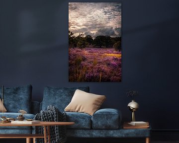 heather by iwan faber