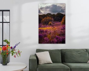 purple heather by iwan faber