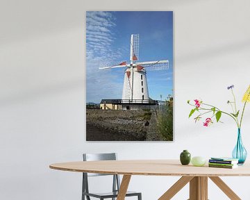 De Blennerville Windmolen van Babetts Bildergalerie