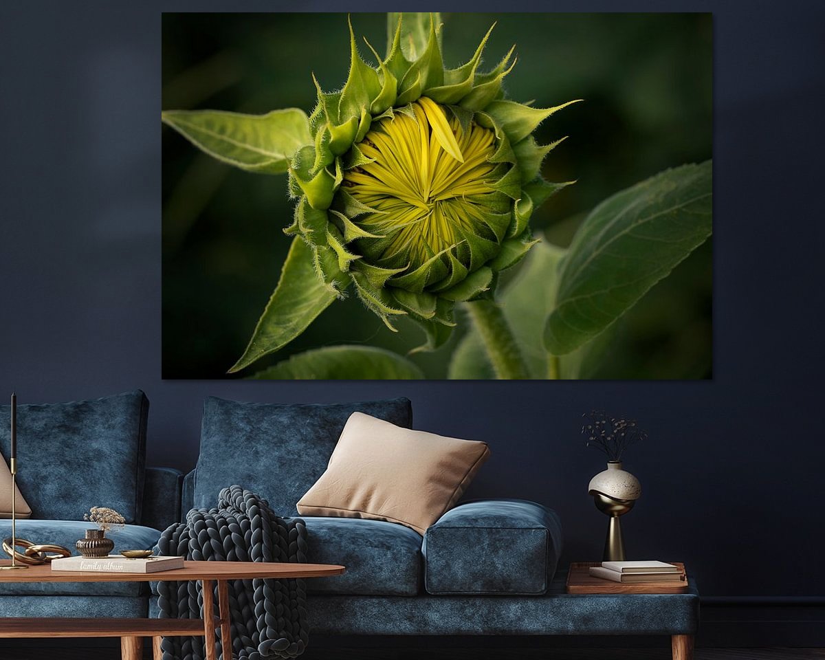 Raumvorschau
