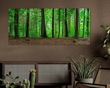 Panorama-uitzicht op bos met groene loofbomen van Alex Winter