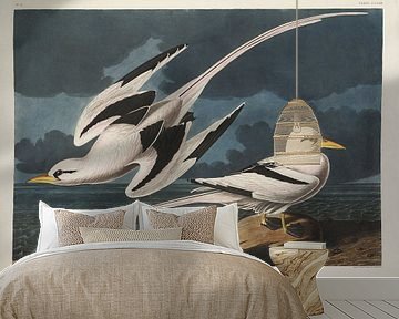 Turnbulls  - Teylers Edition -  Birds of America, John James Audubon van Teylers Museum