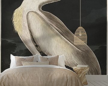 White Pelican - Teylers Edition - Birds of America, John James Audubon by Teylers Museum