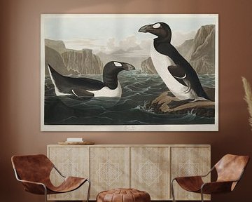 Penguins - Teylers Edition -  Birds of America, John James Audubon sur Teylers Museum