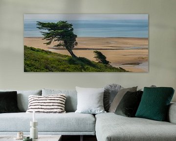 Arbre surréaliste sur la plage près de Carteret, France