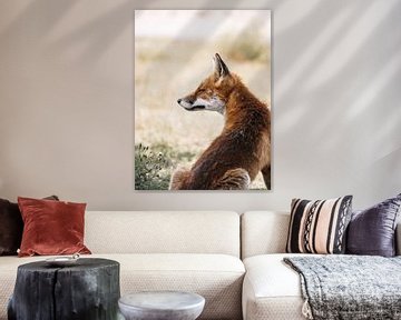 Fox by Merle Boogert